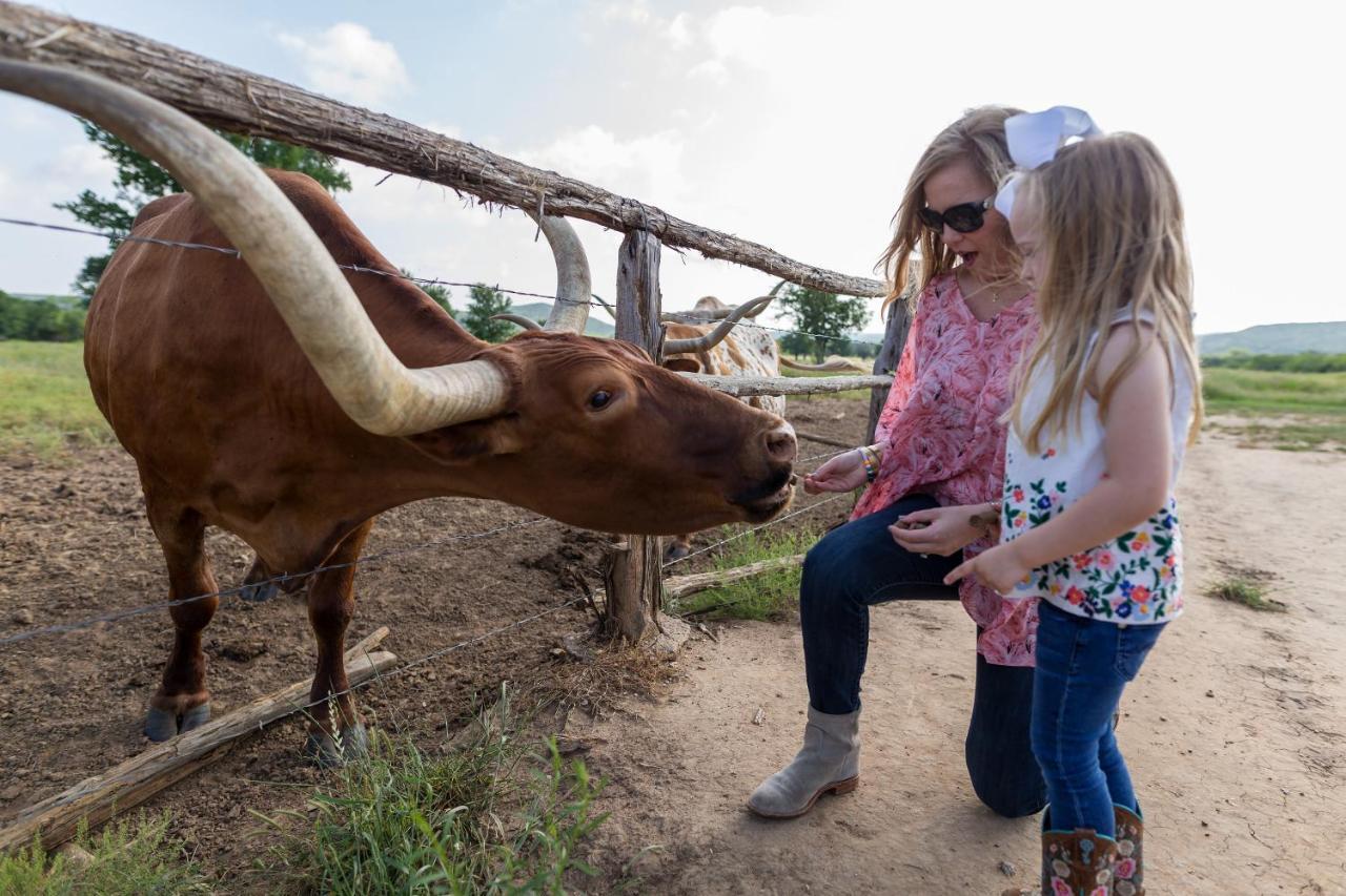 Wildcatter Ranch And