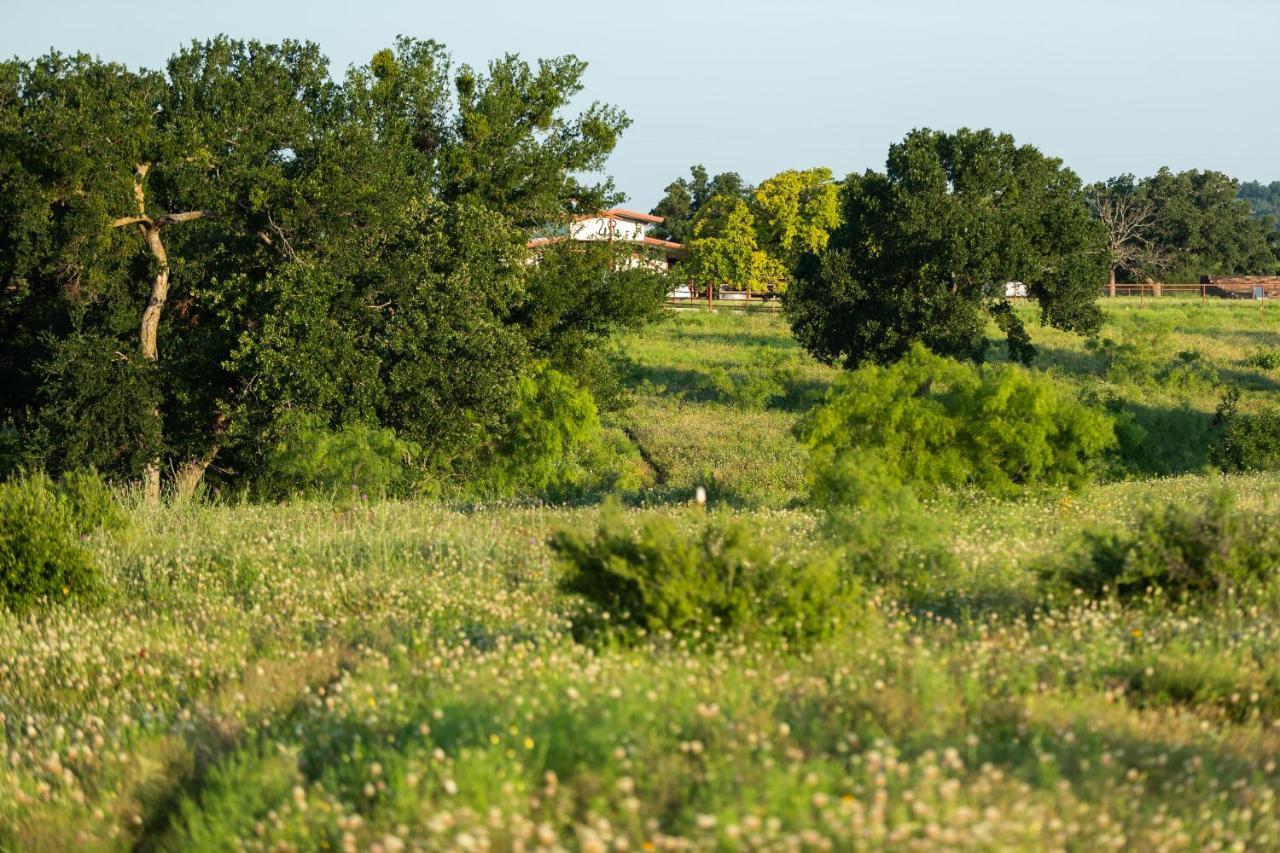 Resort Wildcatter Ranch And Graham