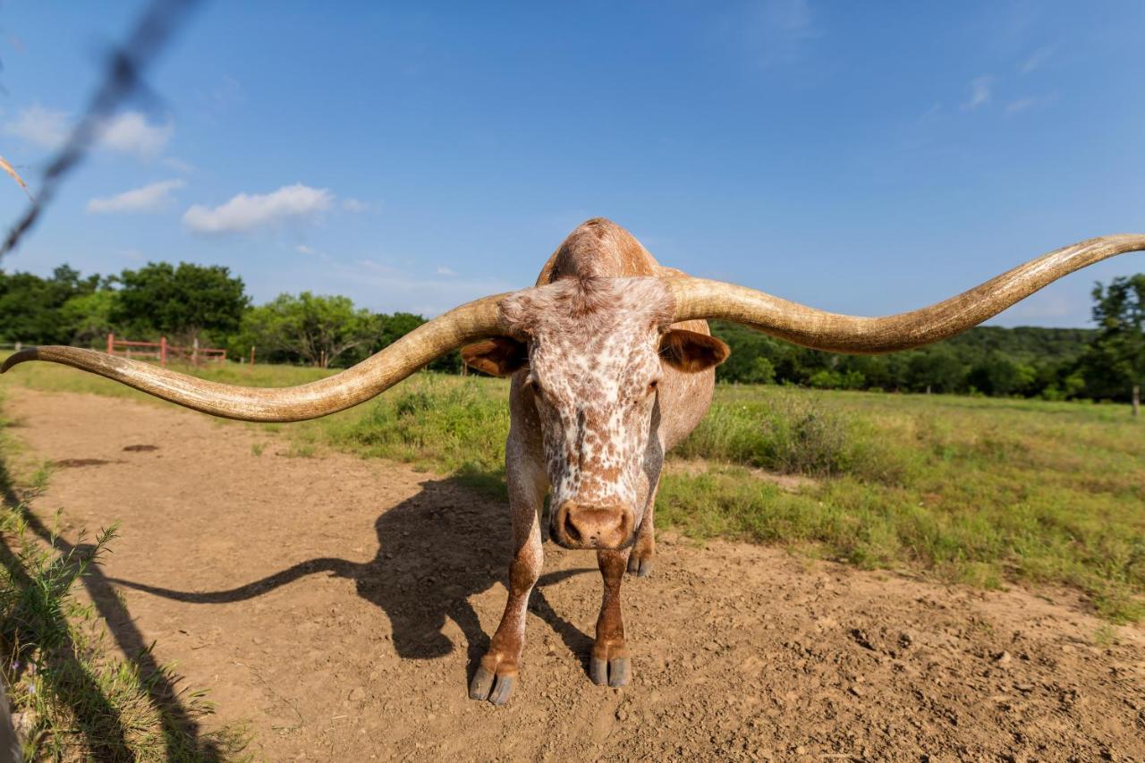 Wildcatter Ranch And