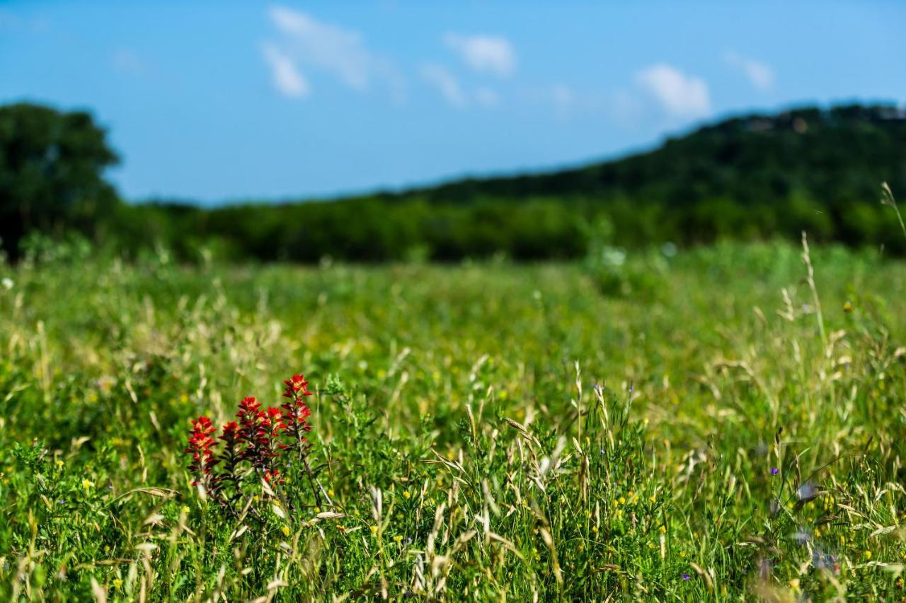 Wildcatter Ranch And Graham